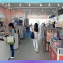 익산트라이비비안