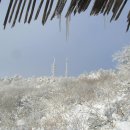 12월24일(목)[07:00출발]전남 광주 무등산(해발1,187m) 새인봉,증심사 눈꽃산행 이미지