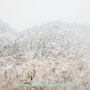 송동1교 - 철원군 | 송동1교