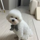 멍뜰리에 이미지