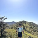 [등산] 종주 도전기 | 지리산 무박 성중 종주 (지리산~성삼재, 34KM)