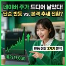 드디어 터진 네이버 주가, 단순 반등일까 본격 추세 전환일까? NAVER 반등의 3가지 이유