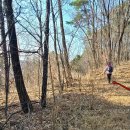 능선길 118 이미지