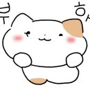 픽스(FIX) 이미지