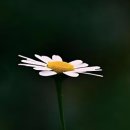 인생한의원 이미지