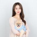 애니웰 동물병원 | 동물병원/병원/잘하는동물병원/추천/병원추천]이렇게까지 아이를 살피는 동물 병원은 없었다, 사랑...