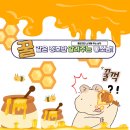 가온이네 | 가온 카매트 라인 코일매트 솔직 후기! 실사용 리뷰 및 장단점 정리