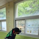 동주대학교부속유치원 이미지