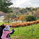 한우연구소 이미지