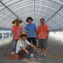 대길농장 이미지