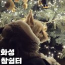 화성노래방 | 경기 화성 한옥애견펜션 참쉼터 내돈내산 후기