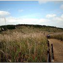 김천그랜드관광호텔 이미지