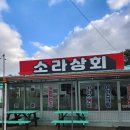 태안상회 | 태안 반려견동반맛집 소라상회 솔직후기