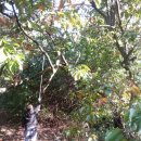 따러와PC 이미지