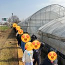 태권농장 이미지