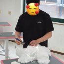 쉽게 배우는 장기 - 중급 | [수원애견미용학원] 수원 권선구 애견미용학원 추천｜초보도 실습으로 성장하는 자격증·창업 준비 코스!