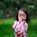 보은농장 이미지