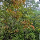 선문염송설화 이미지