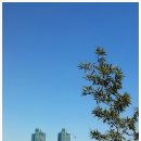 한강 산책 이미지