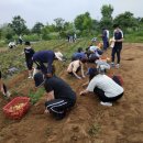 남부농장 이미지