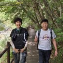 2026.9.19(토) 오대산 선재길~ 낙화님 진행 이미지