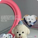 퍼피케크 네이버블로그