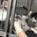 동원동물병원 이미지