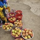 김삿갓농장 이미지