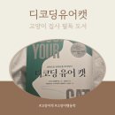 고양이가 왜 그럴까? 고양이언어, <디코딩유어캣>을 읽어본 18년차 집사의 후기