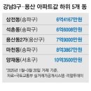 무늬에 이미지