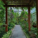 경주동궁원 이미지