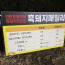 흑돼지패밀리