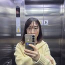 루비로 | 압구정 피부과 루비레이저 내돈내산 후기