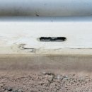 율곡아파트 상가동 이미지