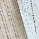 남원읍 태흥리 1105-2 | 제주도 2박3일 / 열심히 살아야죠 다 먹으려고 하는건데