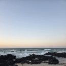 제주스마일택시관광 | 제주도 택시투어 예약과 제주 관광 후기 완벽 정리