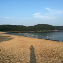 코스오토 이미지