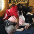 아림프라자 이미지