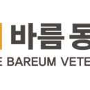 더바름동물병원 이미지