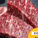 엘사랑의원 이미지