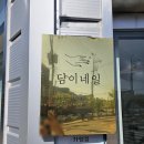 담이네일