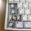 달구벌카서비스 | 24년 8월의 일상 조각 모음📸