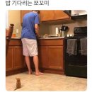 톡킹