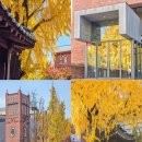 CU 이태원햇살점 | 서울 가을 나들이 단풍 명소 여행 정동길 실시간 후기