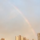 파티마여성병원 이미지