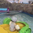 스파랜드 이미지