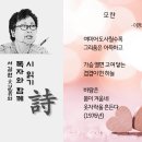 플라토닉 전국매일신문