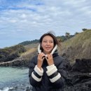 주식회사 선밀 | 페트레이 선미 패딩 쿤토 숏 고급미 up시킨 프리미엄 패딩 브랜드