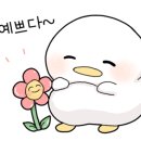 솥향기만두 이미지