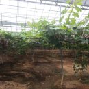 예은농장 이미지